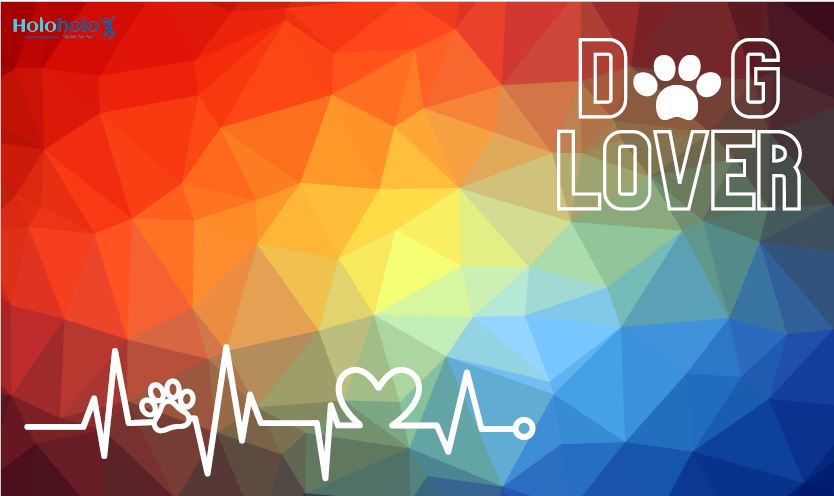 Holoholo-USA Quick-Dry Microfiber Pet Towels – Dog Lover