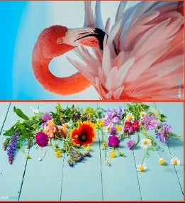 Holoholo-USA XL Beach Towel – Wild Flamingo & Blooms | Sand-Free | Quick Dry