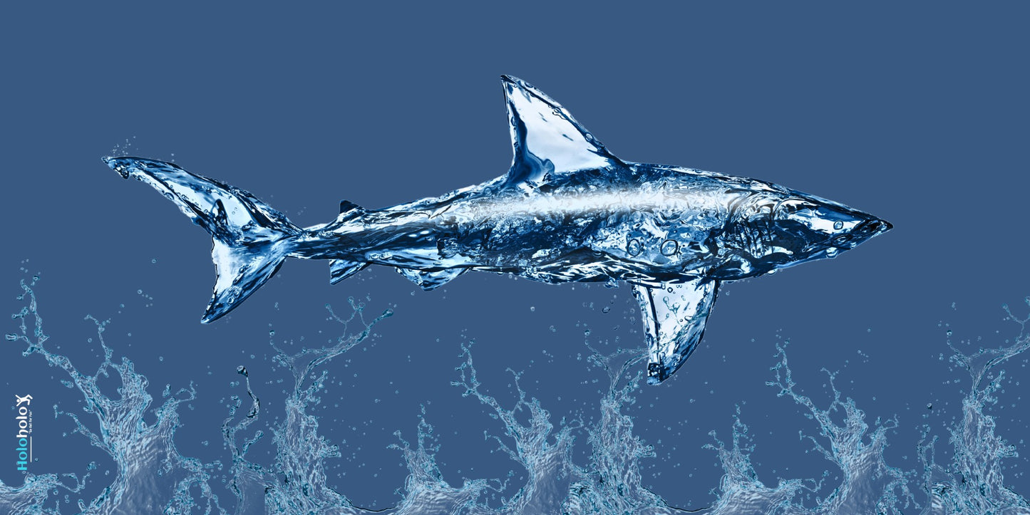 Kaiola XL Beach Towel – Liquid Shark