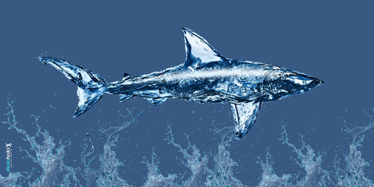 Kaiola XL Beach Towel – Liquid Shark