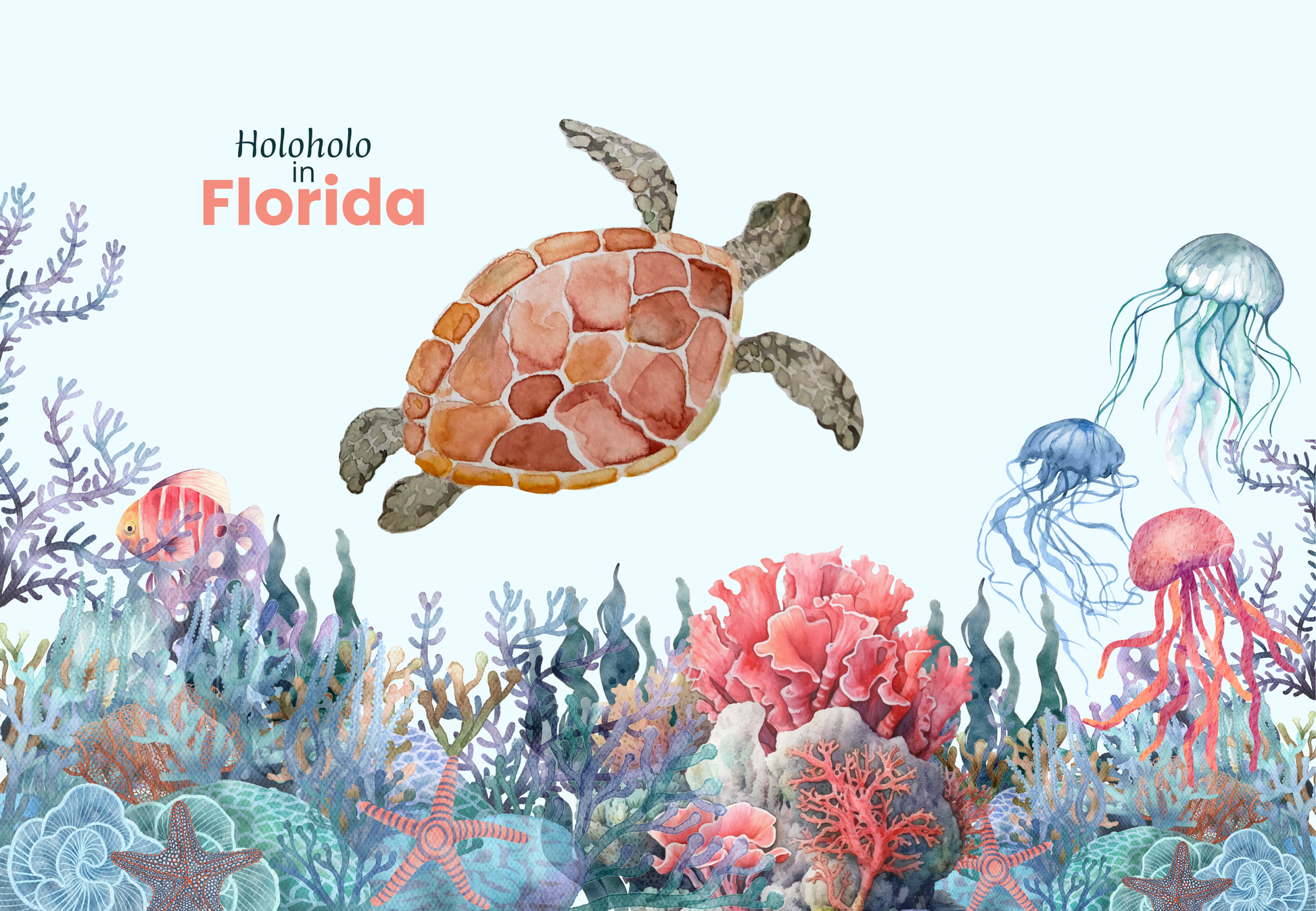 Holoholo-USA magical cleaning towel Florida Turtle chemical-free