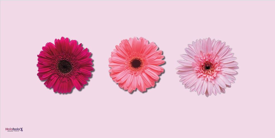 Holoholo-USA XL sand-free microfiber beach towel Pink Gerberas Watercolor Dreams design